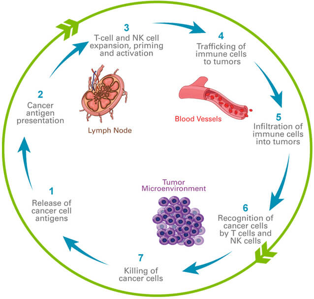 Oncology | Ascendis Pharma US